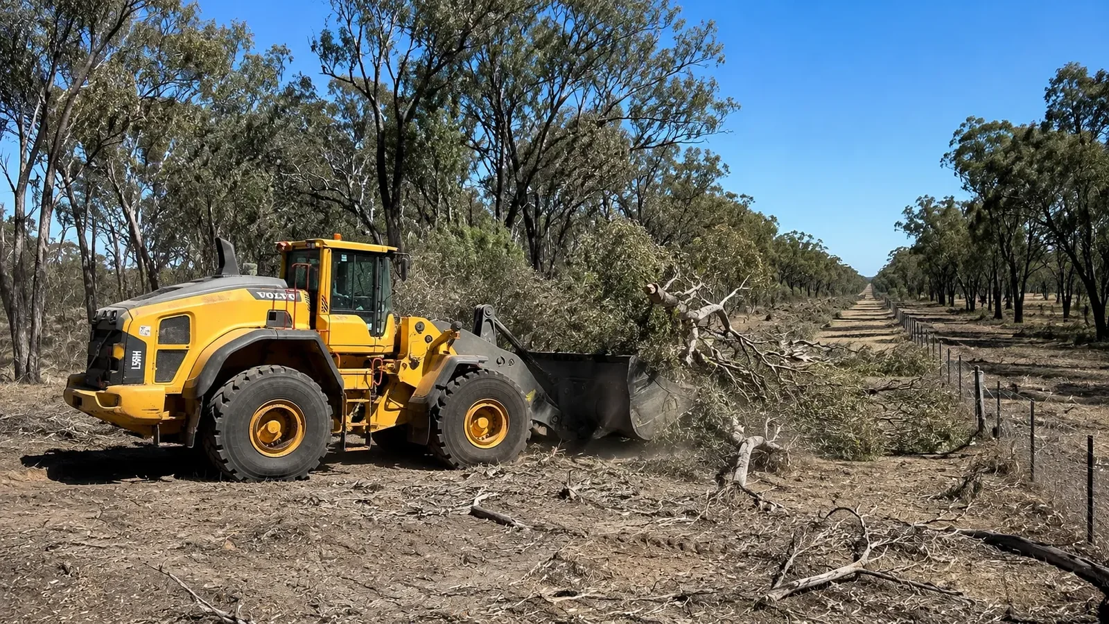 Fence line clearing with CE Contracting in rural Queensland